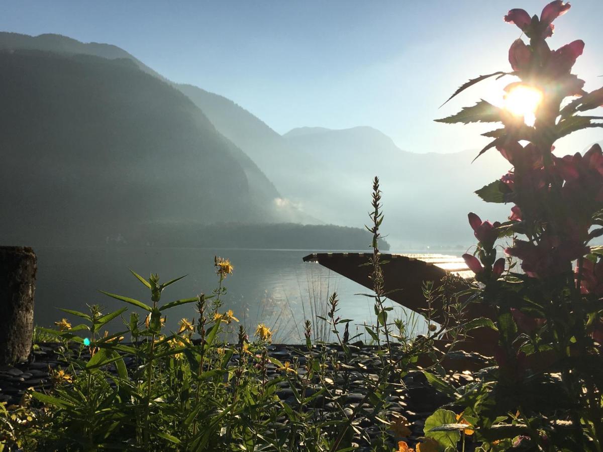 Glueck Am See - Apartment Mit Seezugang Hallstatt Eksteriør billede